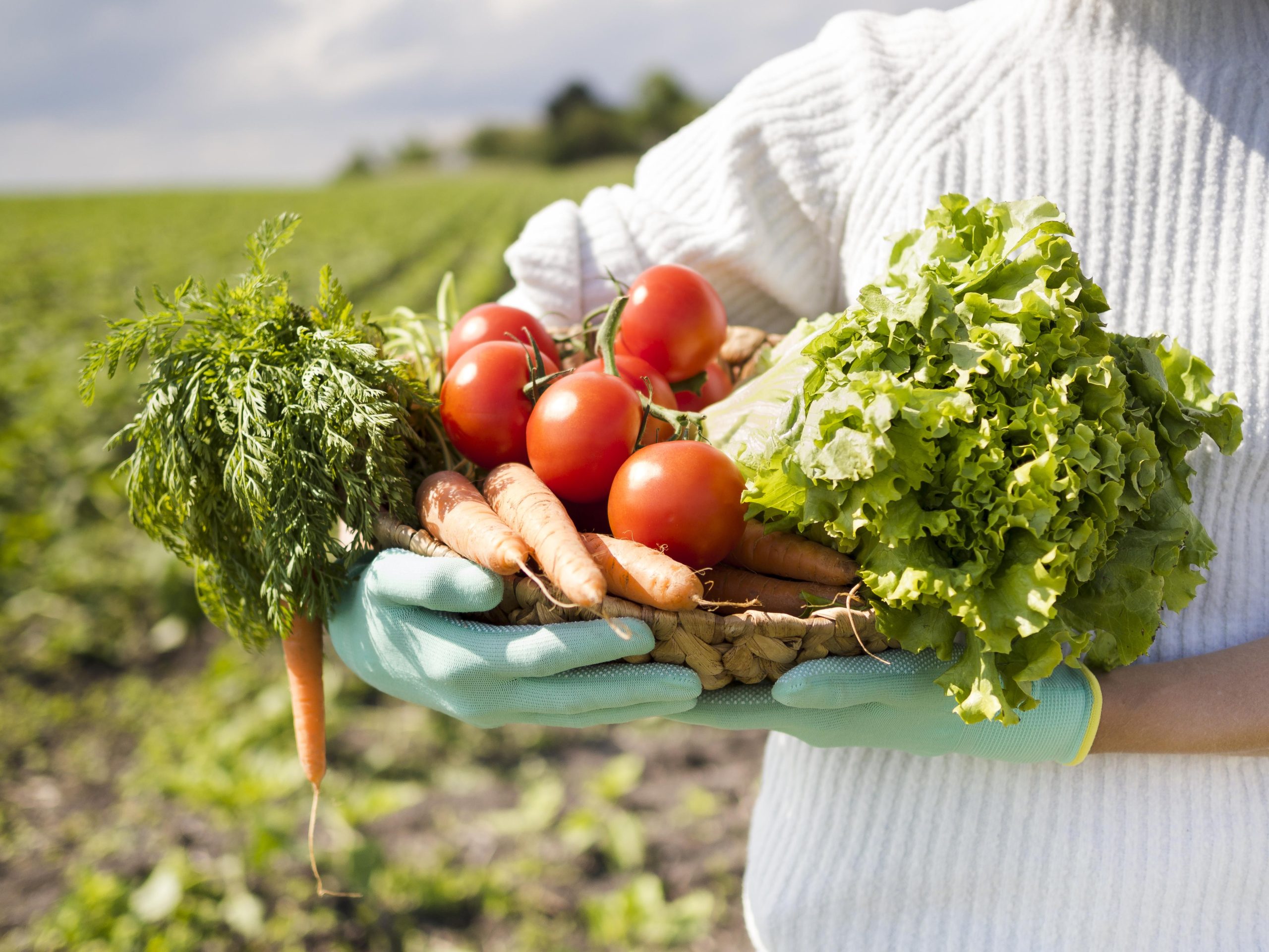 Organic Farming Zone at Joyvilla